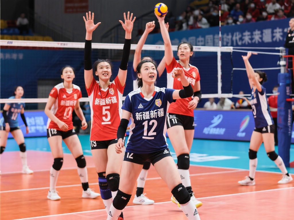 手的特点制 手的特点制