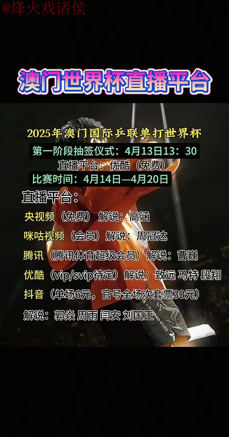 全方位解析世界杯直播平台的多样选择